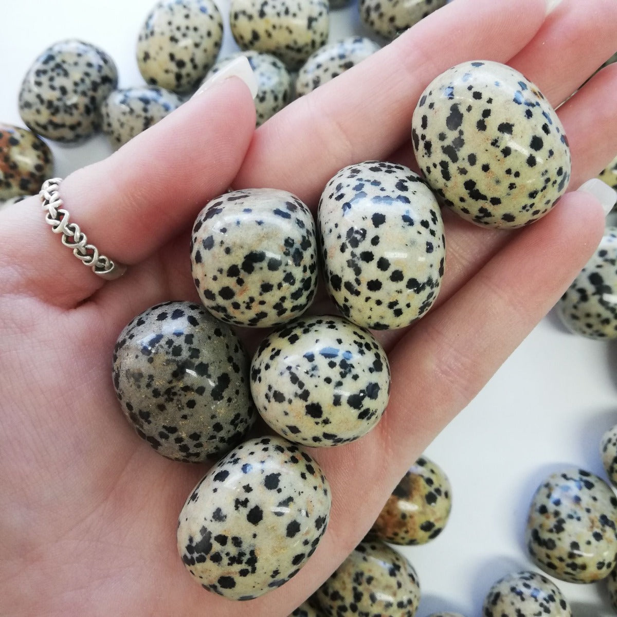 Dalmatian Jasper - Tumbled - 1 KG Dalmatian Jasper - Tumbled - 1 KG